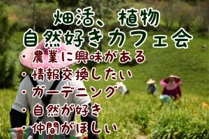 YIM（イム）さん主宰★天神de畑活、植物、自然好きカフェ会